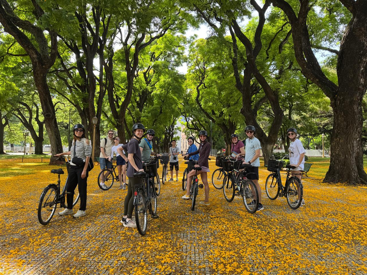 Galería de Imágenes